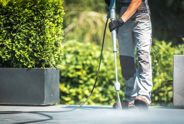 Best Dumpster Area Cleaning  in Day Valley, CA