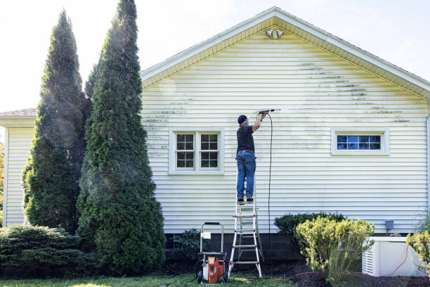 Best Patio and Deck Pressure Washing  in Day Valley, CA